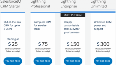 Salesforce CRM Pricing: The Key Factors and Models Unveiled